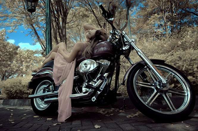 Model Fashion Solo
